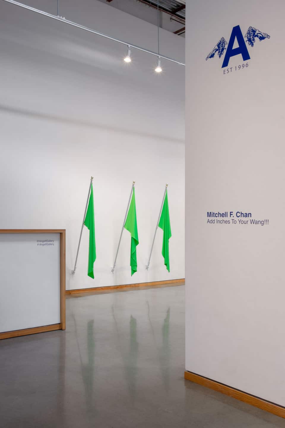 Mitchell F Chan at Angell Gallery